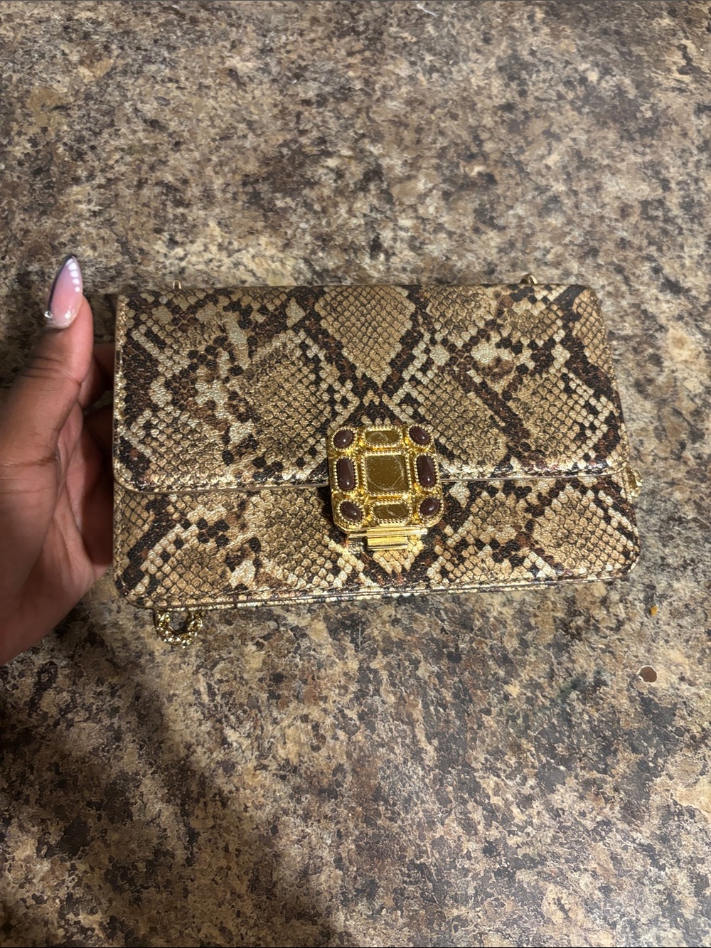 Snake-Print Crossbody Clutch in Brown with Gold Accent